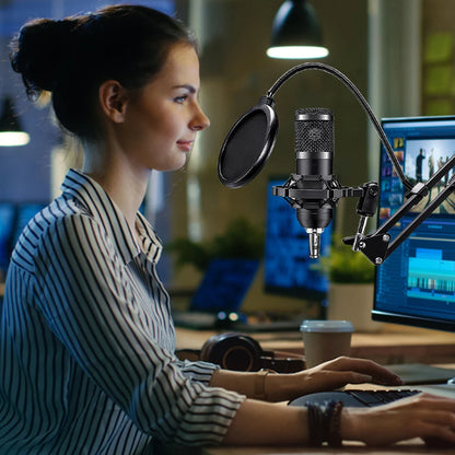 BM800 Podcast Audio Mixer + Mic Set